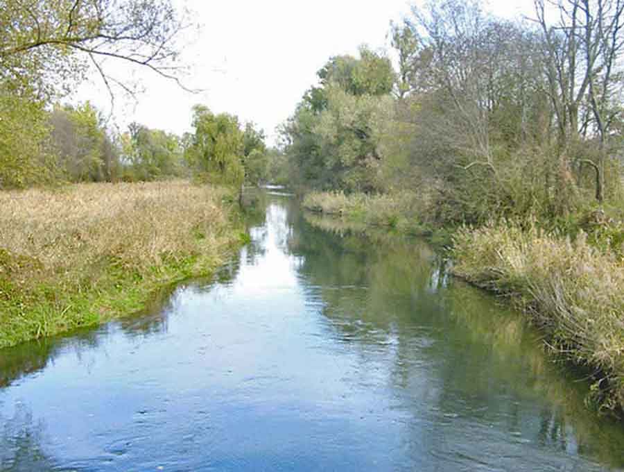 Fischgewässer Hamerbach
