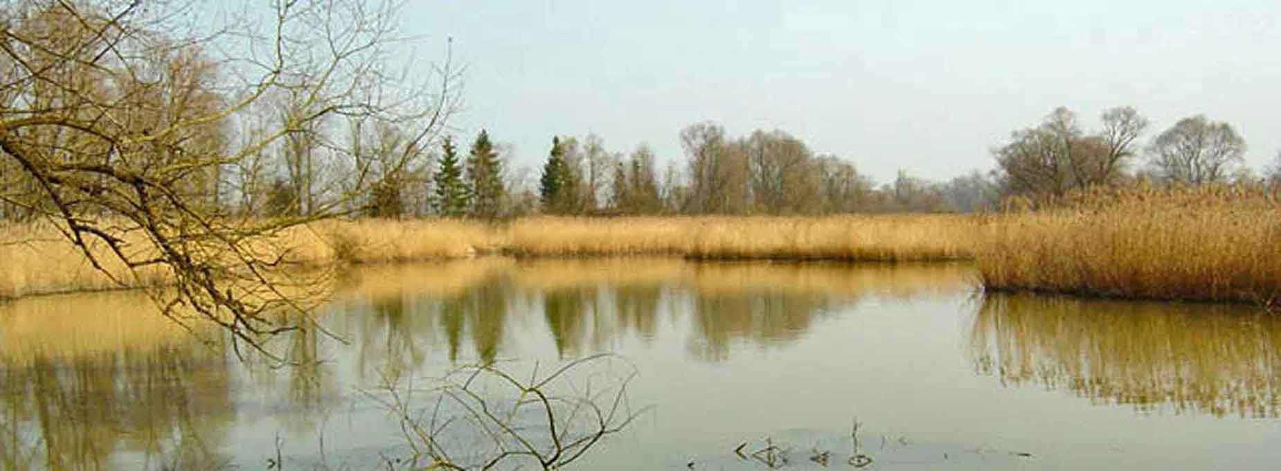 Fischgewässer bei Sendlicng Kreisfischereiverein Rosenheim