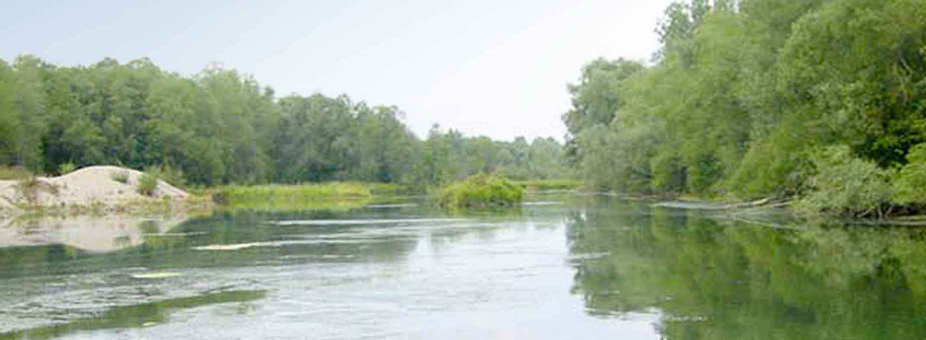 Fischgewässer Vogtareuther Altwasser