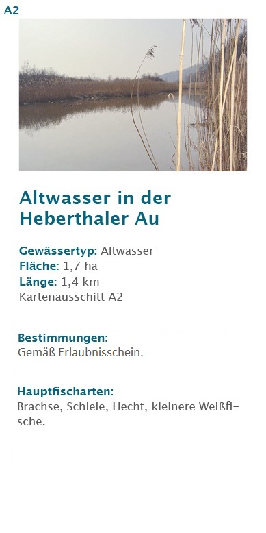 Altwasser in der Heberthaler Au