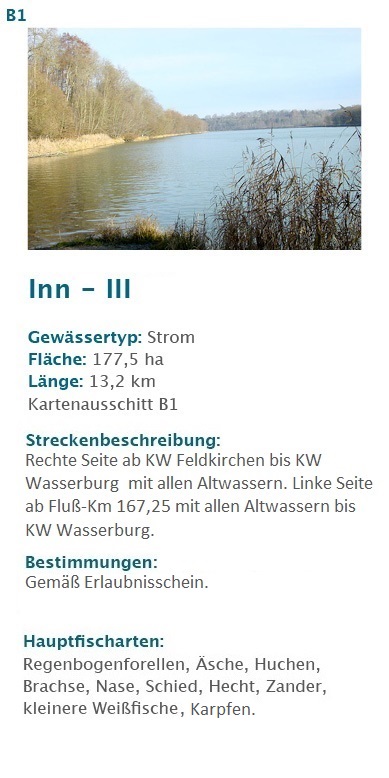 Inn 3